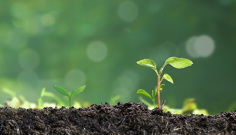 游民星空游戏平台